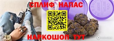 гидропоника Гусев